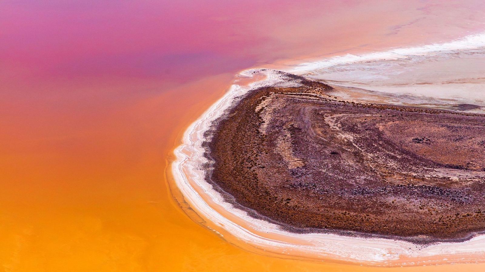 Aerial view of vivid pink and orange water at Kati Thanda–Lake Eyre with a curved shoreline