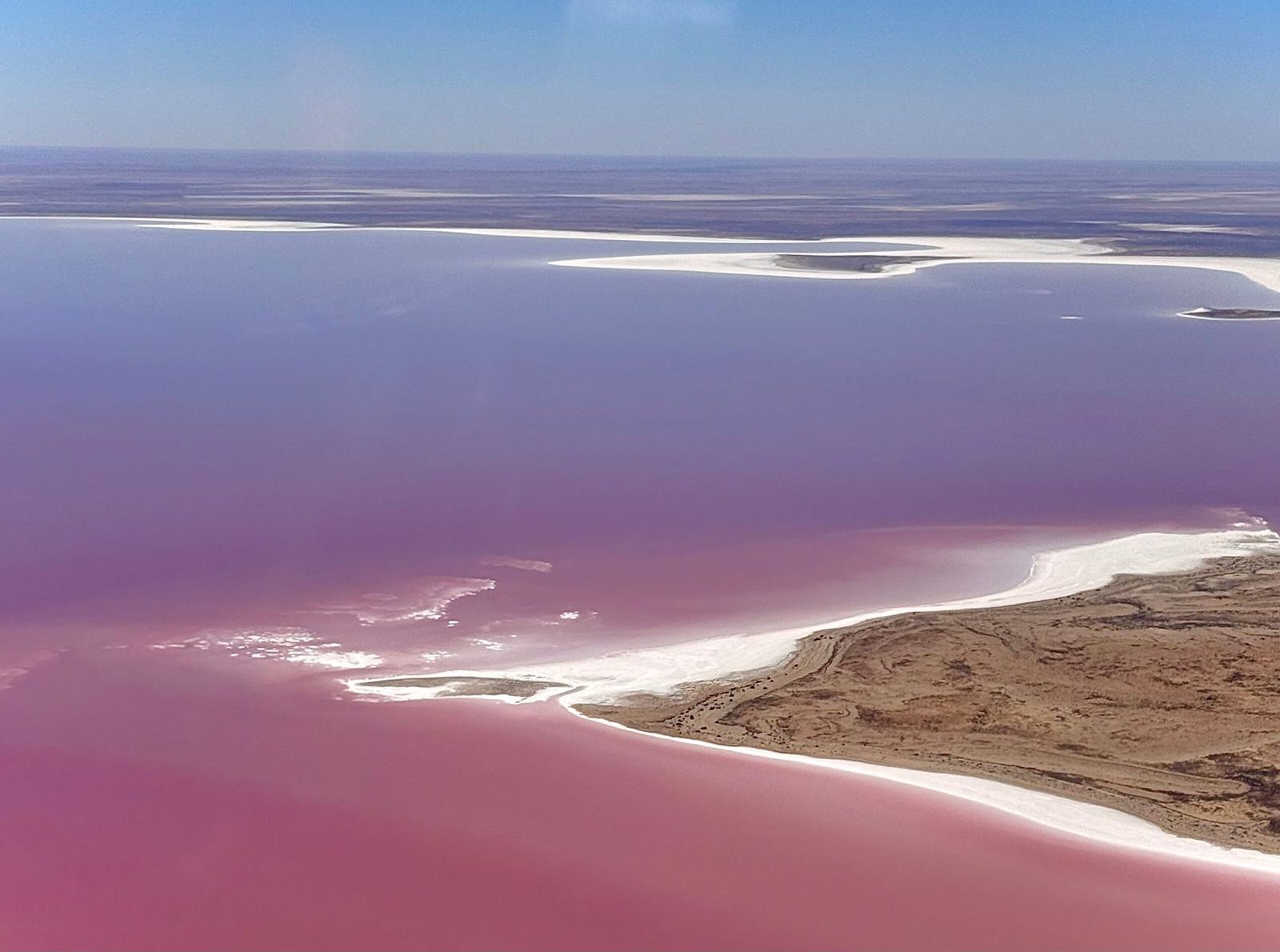 Aerial view of pink Kati Thanda–Lake Eyre with a white salt shoreline